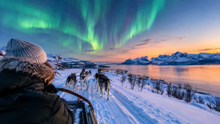 Northern Lights Dog Sledding in Tromso