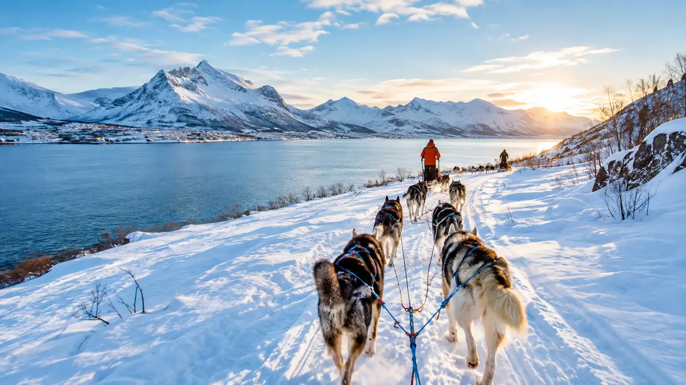 Self-Drive vs Passenger Husky Tours in Tromso