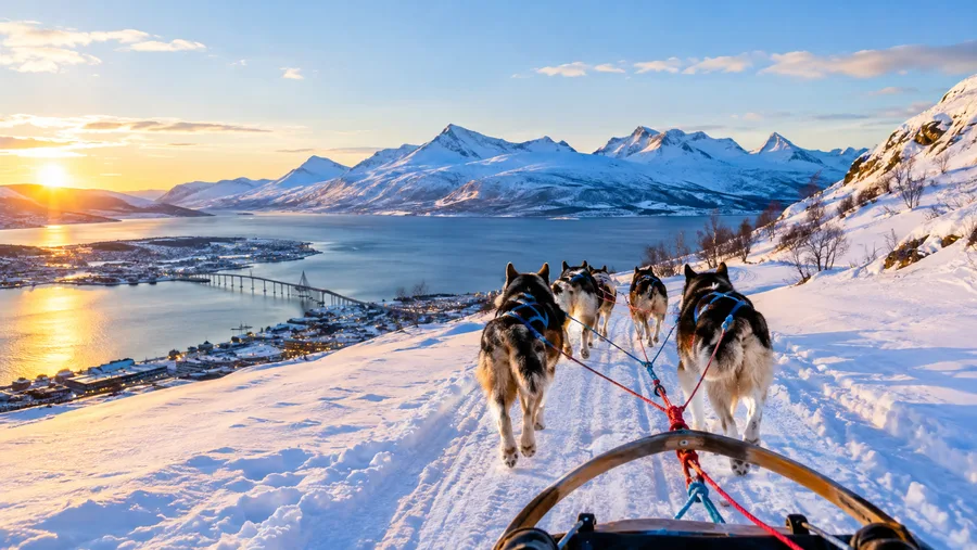 Tromso Dog Sledding Season: Month-by-Month Guide