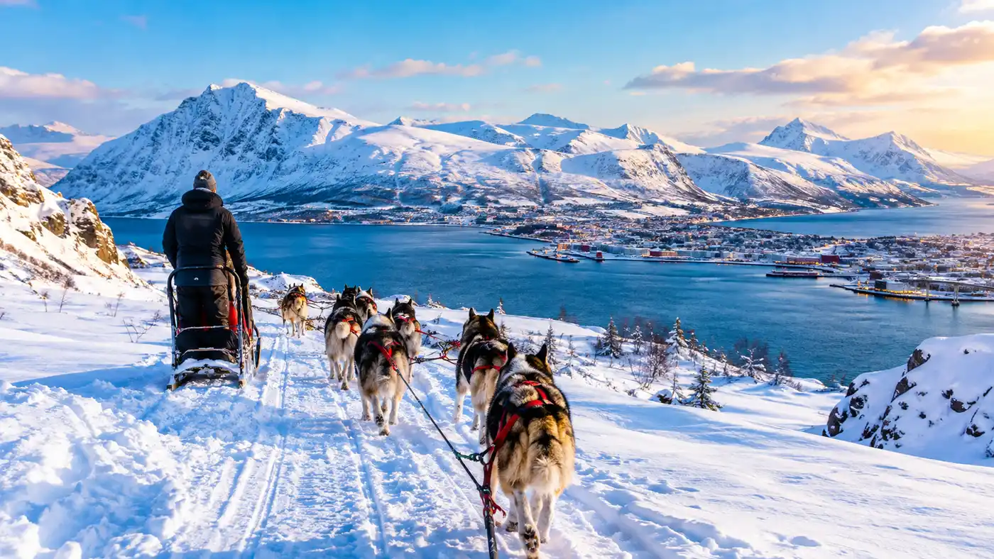 Tromso Dog Sledding Season: Month-by-Month Guide